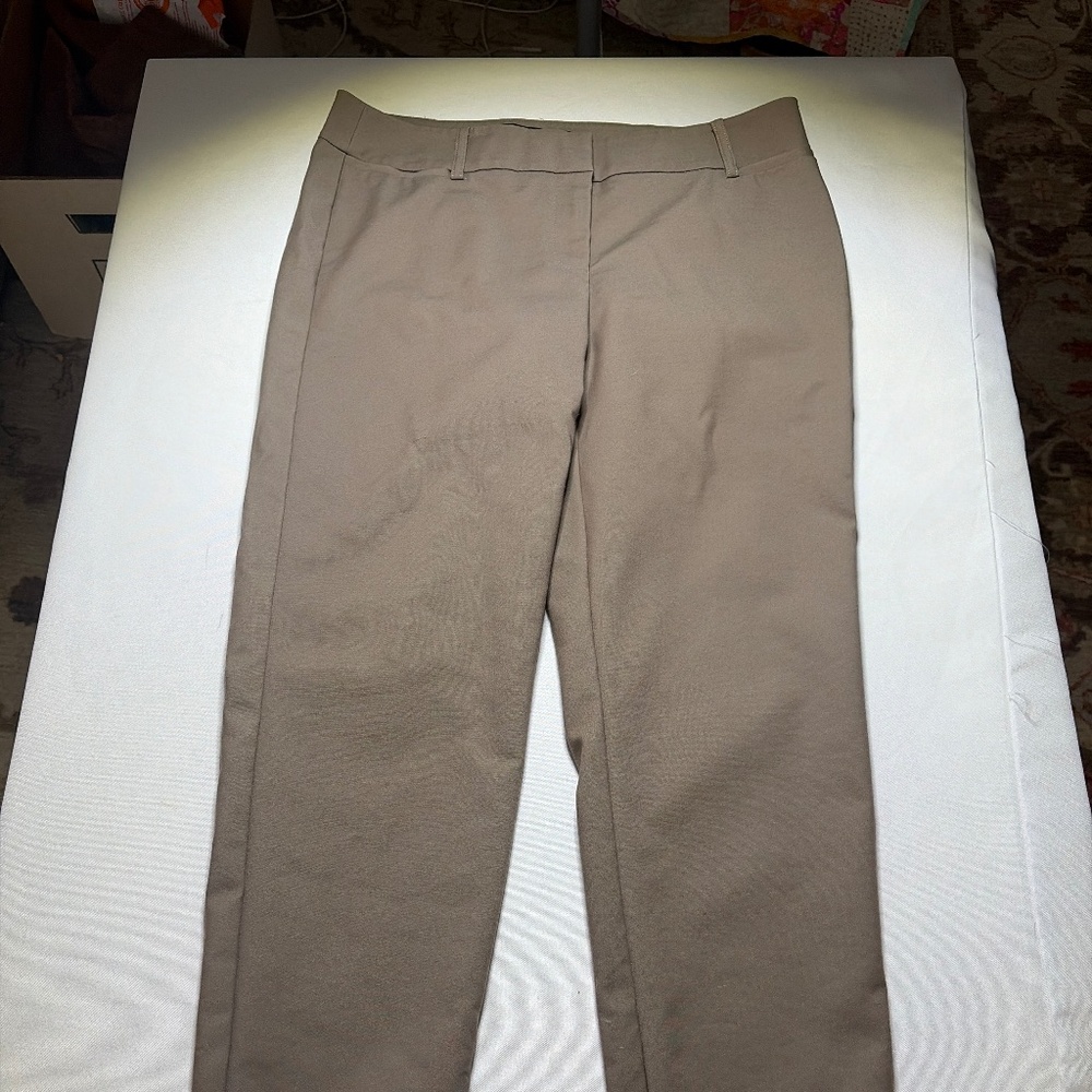 Ellen Tracy Wrinkle Resist Chinos in Taupe Brown size 4